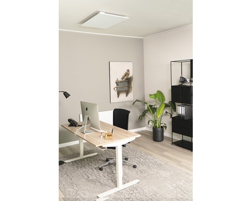 Modernes Büro mit Heizpaneel an der Decke, höhenverstellbarem Schreibtisch und Regal