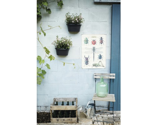 Dekorativer Gartenbereich mit Wandpflanzgefäßen, Insektenposter, Weinkisten, Gießkanne und Glasflasche