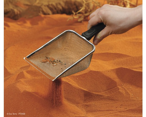 Hand hält ein Sieb über Terrariensand