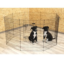 Achteckiger Hundeauslauf aus Metalldraht mit zwei Welpen darin