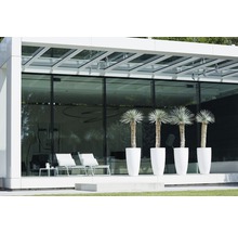 Moderne Terrasse mit Glasfassade, weißen Gartenmöbeln und vier Topfpflanzen