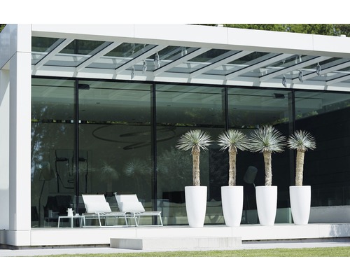 Moderne Terrasse mit Glasfassade, weißen Gartenmöbeln und Pflanzenkübeln