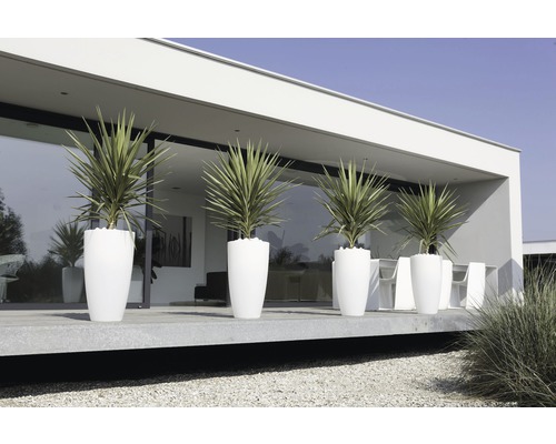 Außenansicht eines Hauses mit mehreren Pflanzen in Pflanzgefäßen