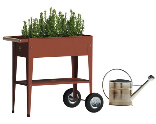 Hochbeet mit Rädern, Ablage und Pflanzen neben einer Gießkanne