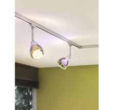 Zwei Deckenleuchten an einer Schiene mit transparenten Lampenschirmen