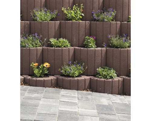 Terrassierter Garten mit bepflanzten Hangflorsteinen und Pflastersteinen