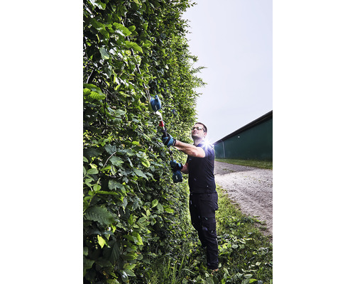 Mann schneidet Hecke mit einer Heckenschere