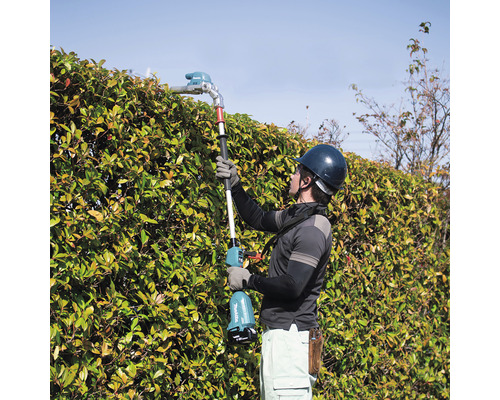 Ein Mann, der eine Hecke mit einer Akku-Heckenschere schneidet.
