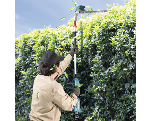 Eine Person schneidet eine Hecke mit einer Akku-Heckenschere.