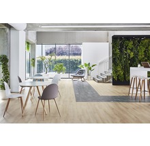 Modernes Büro mit Tischen, Stühlen, Pflanzenwand und Laminatboden