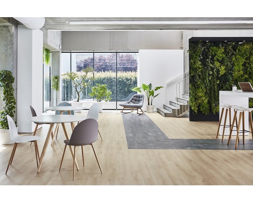 Modernes Büro mit Tischen, Stühlen, Pflanzenwand und Laminatboden