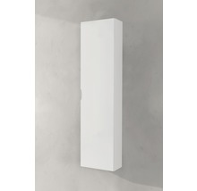 Hochformatiger Badezimmerschrank zur Wandmontage.