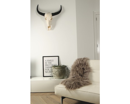 Wohnzimmer mit Sofa, Fell, Pflanze, Bilderrahmen und Schädel an der Wand