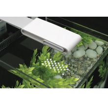 Aquarium mit LED-Beleuchtung, Pflanzen und Steinen