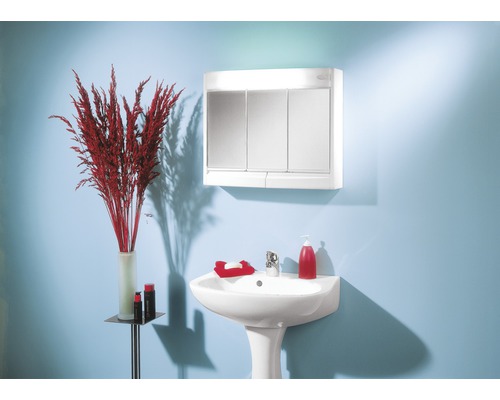 Badezimmer mit Waschbecken, Spiegelschrank und Dekoration