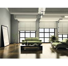 Helles Wohnzimmer mit Sofa, Sessel, Tisch und Fensterrollos.