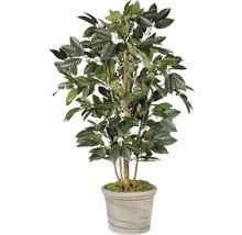 Pflanztopf Spang Terrakotta Ø 24 H 18 cm anthrazit
