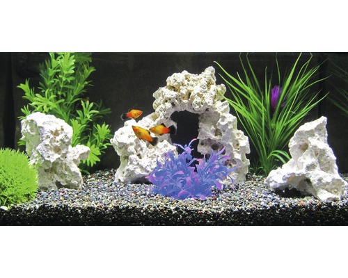 Dekoriertes Aquarium mit Fischen, Steinen und künstlichen Pflanzen.