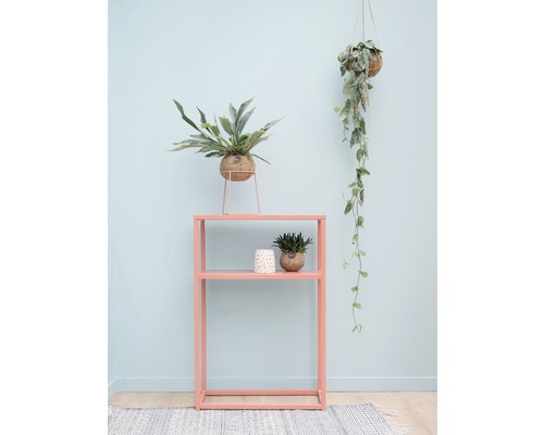 Zimmer mit Regal, Topfpflanzen und Hängepflanze