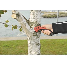 Person sägt Ast mit einer Handsäge ab