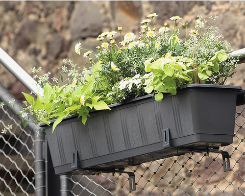 Blumenkasten mit Halterung und Bepflanzung auf einem Geländer