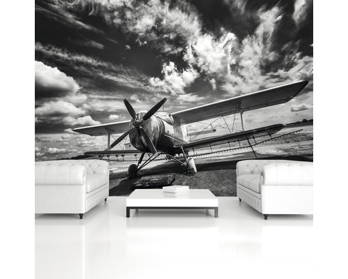 Wohnraumgestaltung mit Fototapete eines Flugzeugs vor bewölktem Himmel