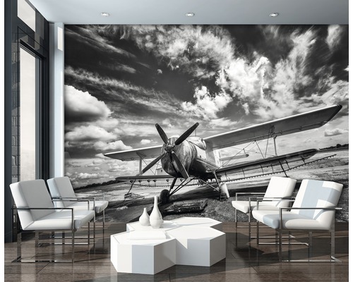 Wandbild mit einem Flugzeug vor einem bewölkten Himmel in einem Wohnzimmer.