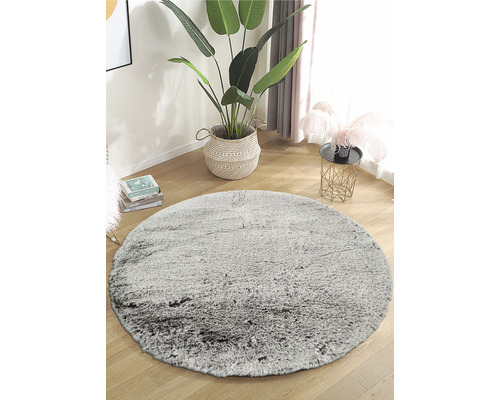 Runder grauer Teppich im Wohnzimmer mit Pflanze und Beistelltisch