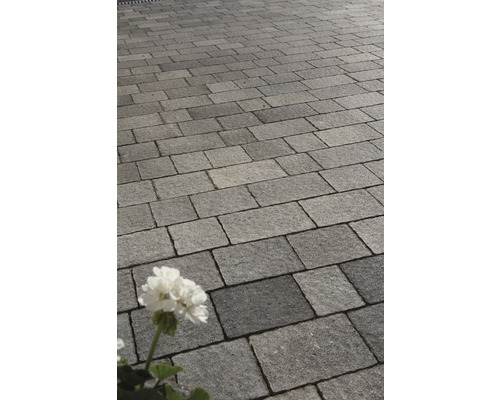 Verlegte Pflastersteine im Außenbereich mit einer weißen Blume im Vordergrund.