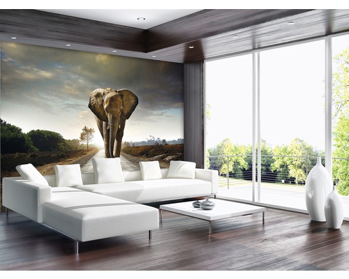 Helles Wohnzimmer mit Fototapete mit Elefantenmotiv, Sofa, Tisch und großem Fenster