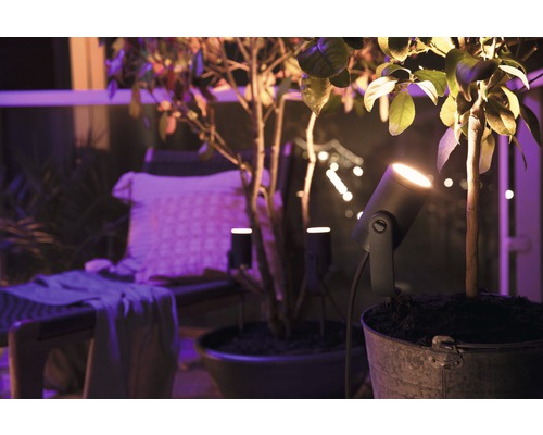 Atmosphärisches Bild einer Terrasse mit Pflanzen und Gartenstrahlern, die eine gemütliche Beleuchtung erzeugen