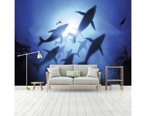 Wohnraum mit Fototapete mit Walen und Taucher-Motiv.