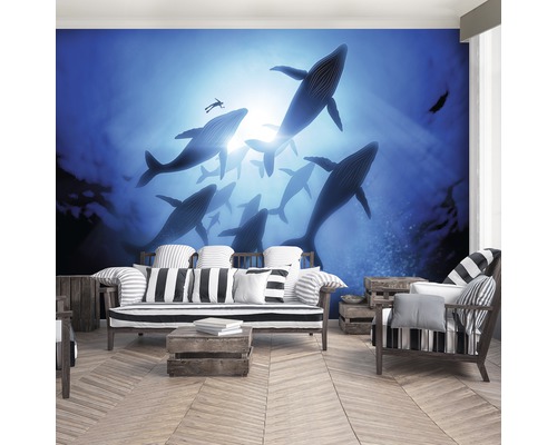 Fototapete mit Walen und Taucher in einem Wohnzimmer