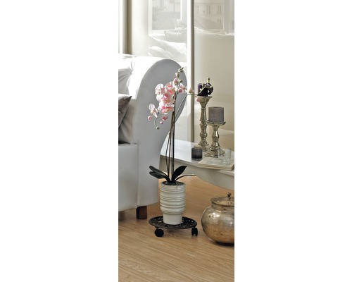 Dekorative Orchidee in einem Wohnzimmer auf Pflanzenrollern.