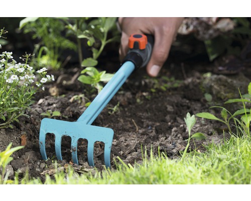 Gartenharke im Einsatz in einem Beet mit Erde und Pflanzen.