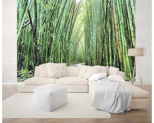 Wandbild mit Bambuswald-Motiv hinter einer Couch