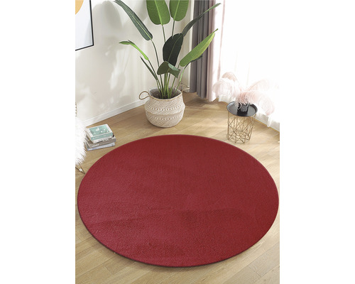 Runder Teppich auf einem Holzboden, neben einer Zimmerpflanze.