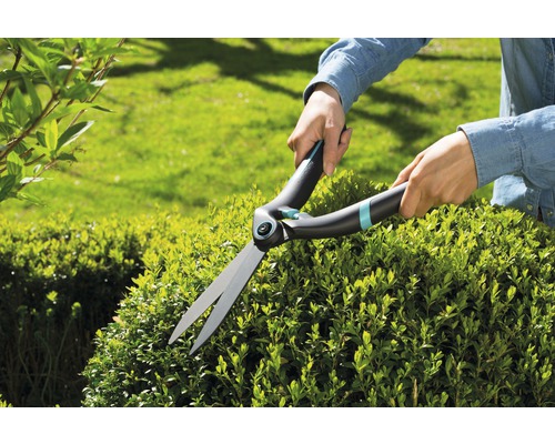 Eine Person schneidet eine Hecke mit einer Heckenschere.