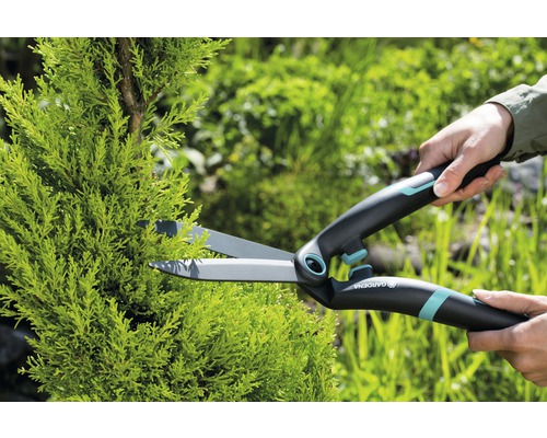 Gartenschere schneidet Hecke