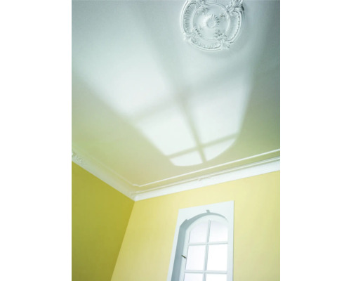 Decke mit Stuckrosette und Zierleisten in einem Raum