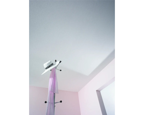 Decke mit Deckenpaneelen in einem Raum mit Kleiderständer