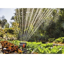 Gartenbewässerung mit Vielflächenregner über Gemüsepflanzen