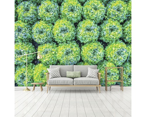 Fototapete mit Salatköpfen im Wohnzimmer