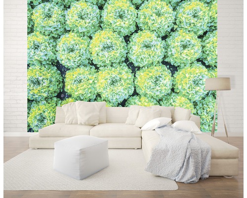 Wohnraum mit Fototapete von Kopfsalat