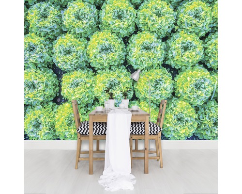 Fototapete mit Salatmotiv in einem Esszimmer