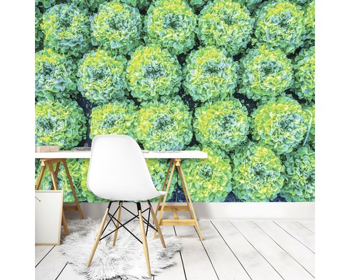 Tapete mit Salatmotiv in einem Raum mit Schreibtisch und Stuhl