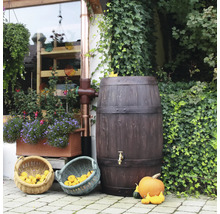 Regentonne in Holzoptik mit Fallrohranschluss und Kürbissen im Garten