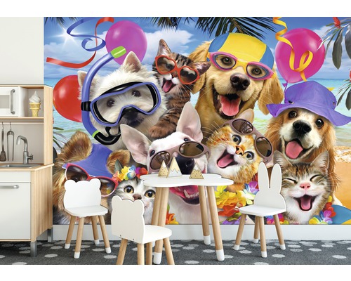 Fototapete mit Katzen und Hunden, die Hüte und Sonnenbrillen tragen, im Innenraum