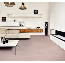 Helles Wohnzimmer mit Sofa, Couchtisch, Regalen, Lautsprecher und Kamin