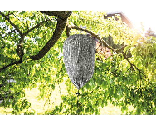 Wespennestattrappe hängt an einem Baum zur Wespenabwehr